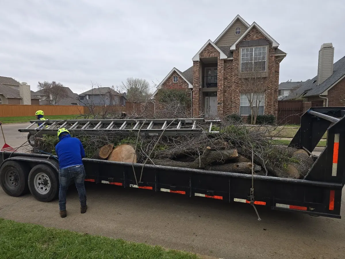 Expert Tree Fertilization with proper safety equipment in Tennille